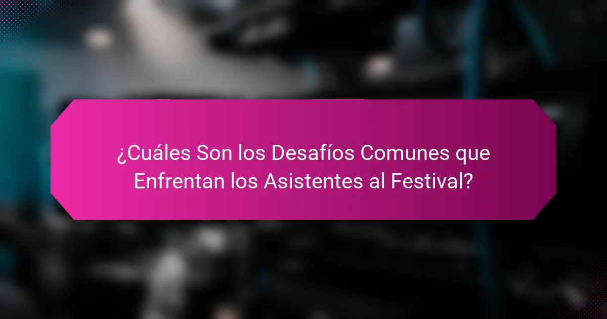¿Cuáles Son los Desafíos Comunes que Enfrentan los Asistentes al Festival?