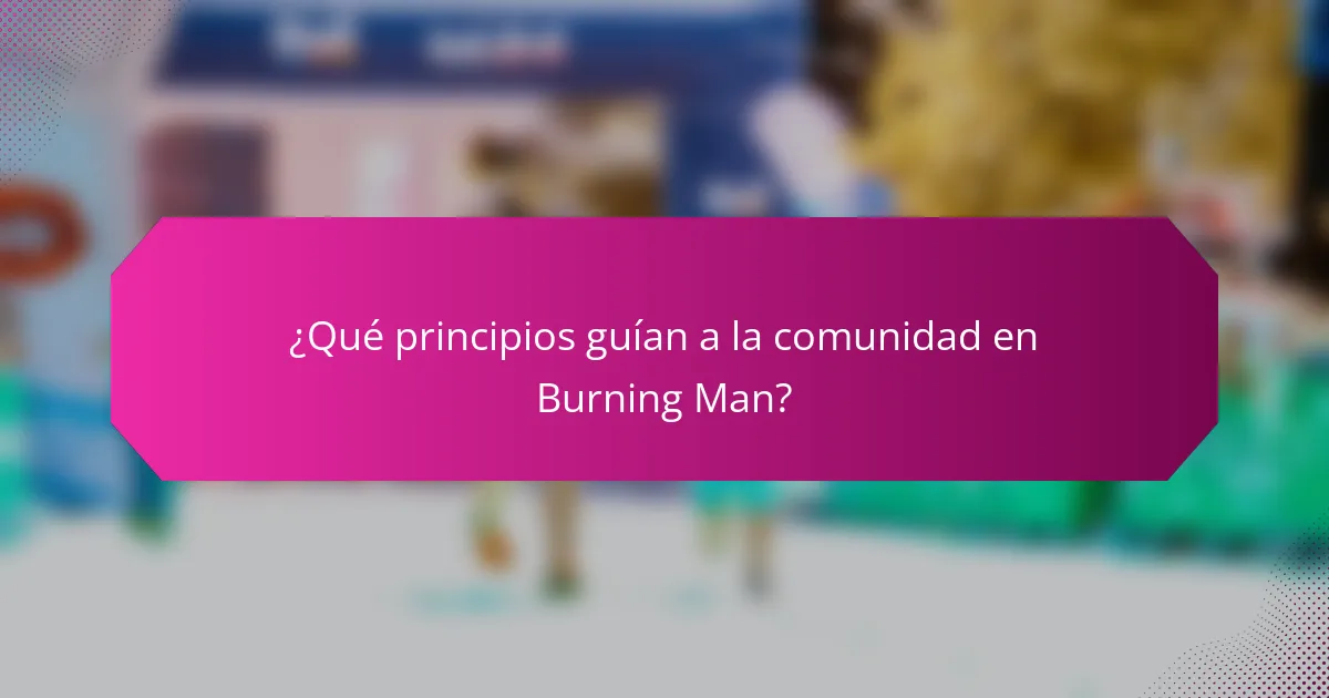¿Qué principios guían a la comunidad en Burning Man?